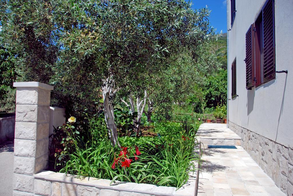 Apartments Iva Tivat Pokoj fotografie